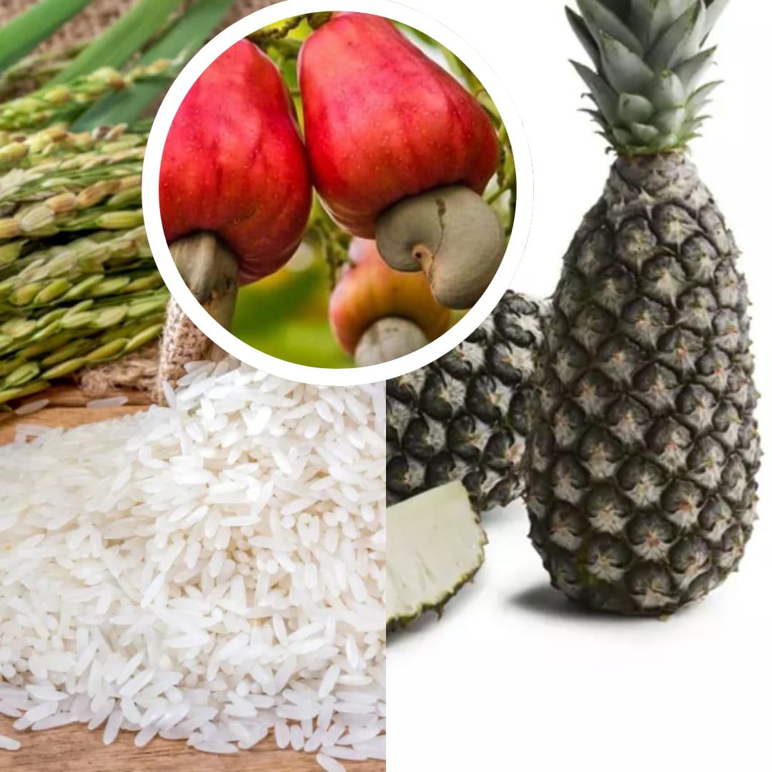 Anacarde et ananas : L’Etat renforce l’appui aux producteurs